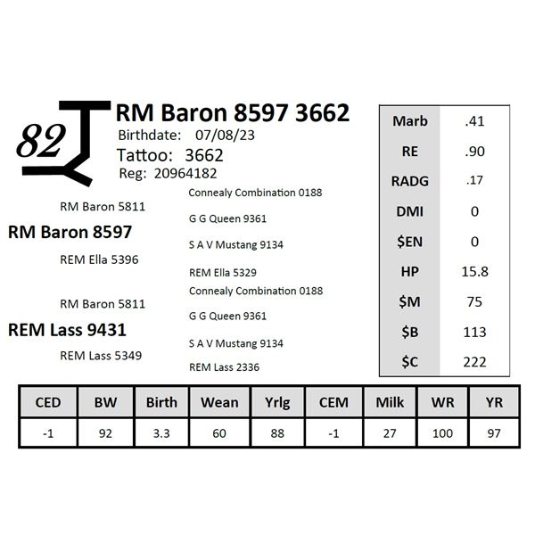 RM Baron 8597 3662