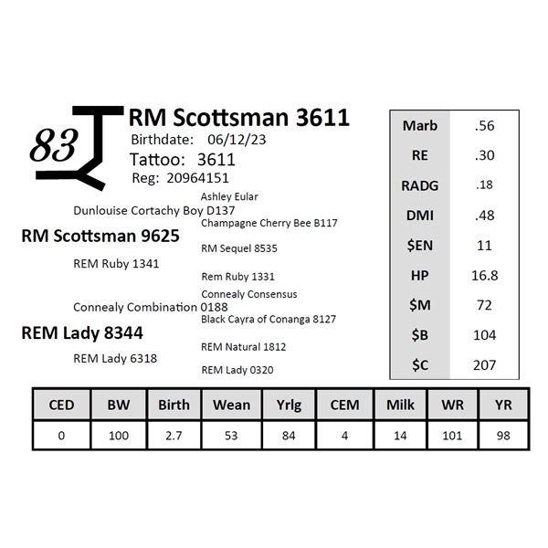 RM Scottsman 3611