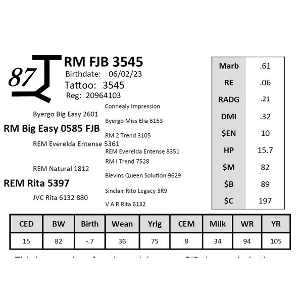 RM FJB 3545