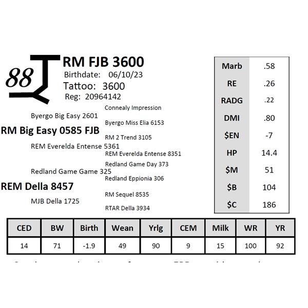 RM FJB 3600