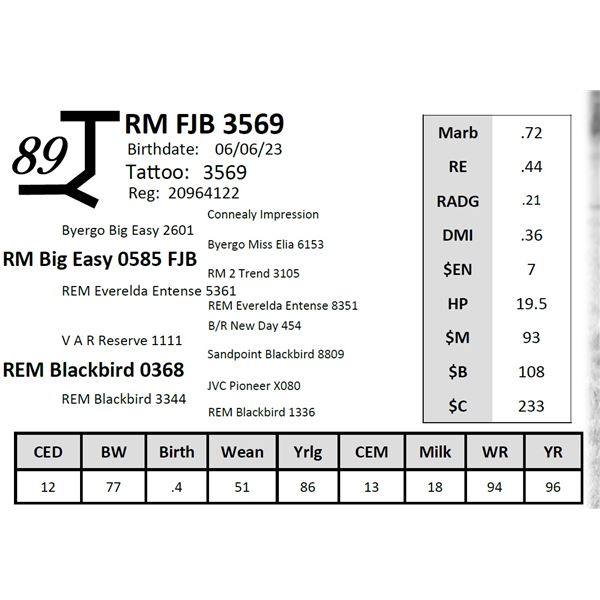 RM FJB 3569