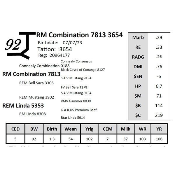 RM Combination 7813 3654