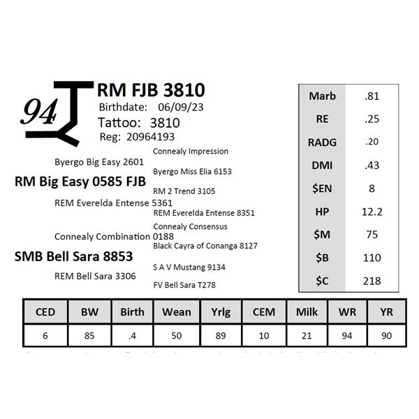 RM FJB 3810