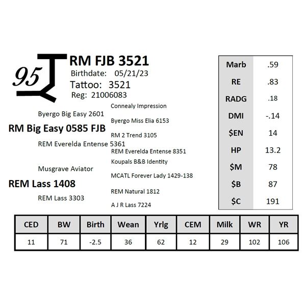 RM FJB 3521
