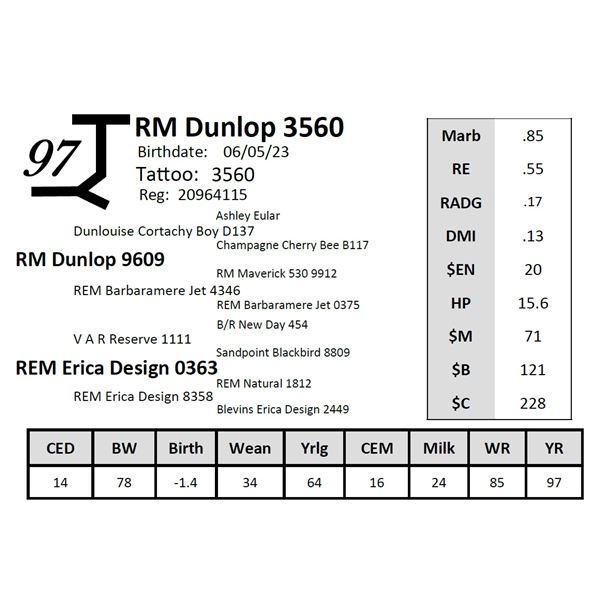 RM Dunlop 3560