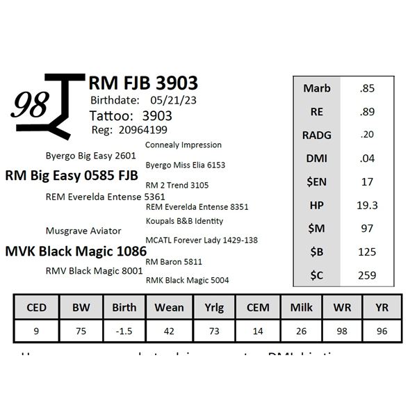 RM FJB 3903