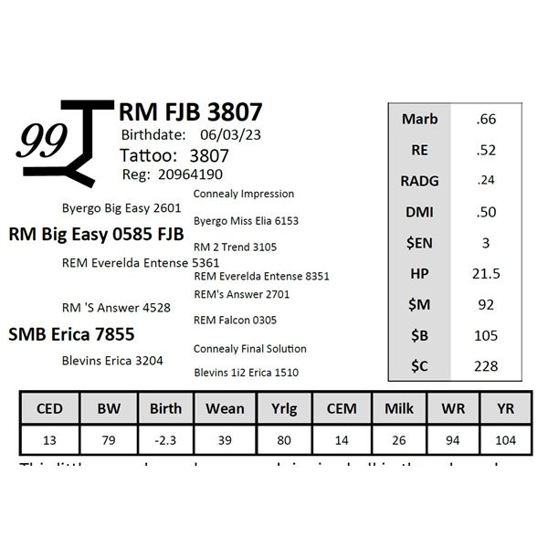 RM FJB 3807
