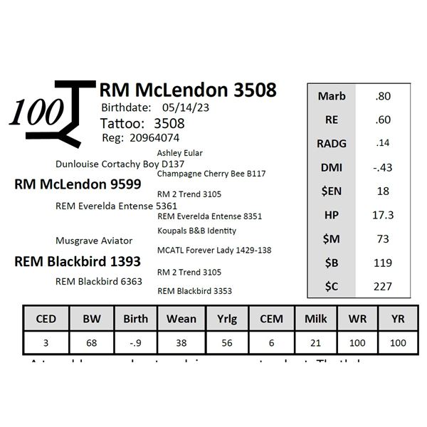 RM McLendon 3508