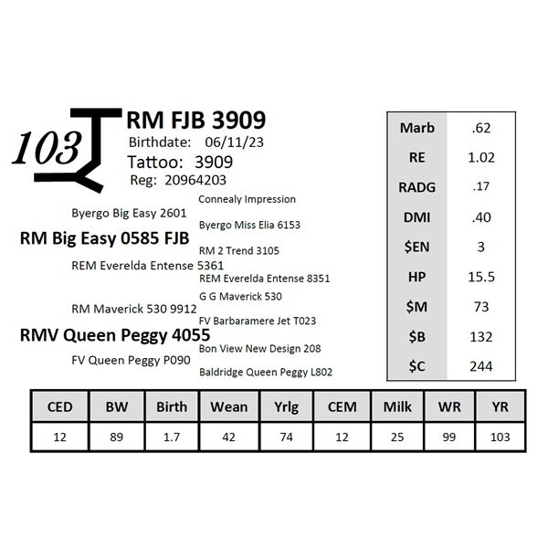 RM FJB 3909