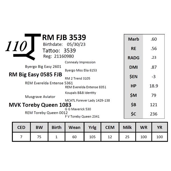 RM FJB 3539