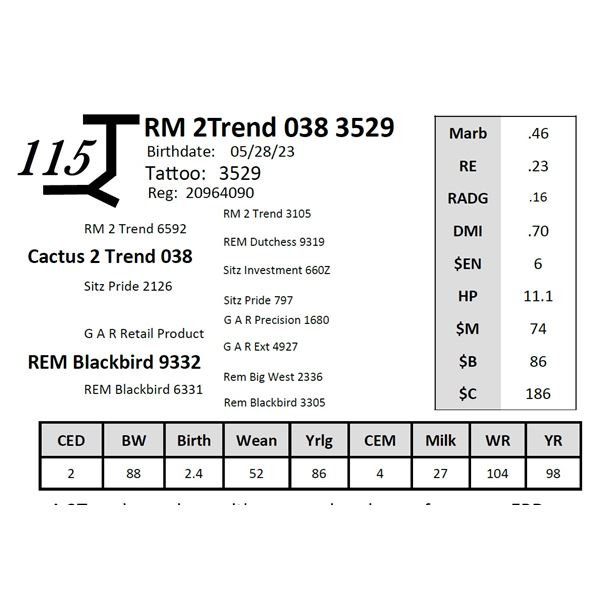 RM 2Trend 038 3529