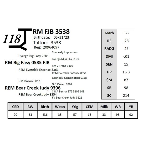 RM FJB 3538