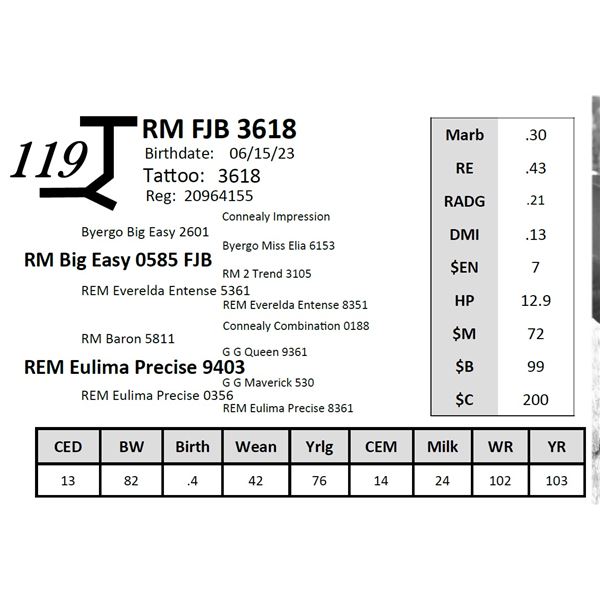 RM FJB 3618