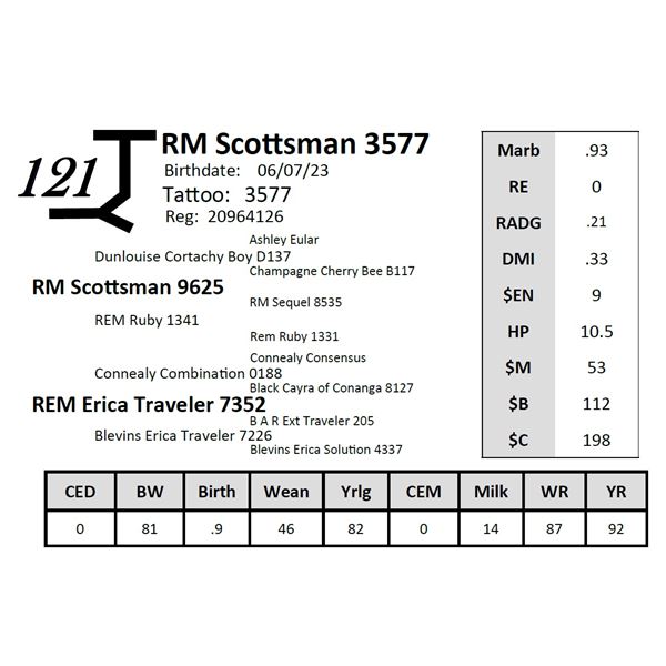 RM Scottsman 3577