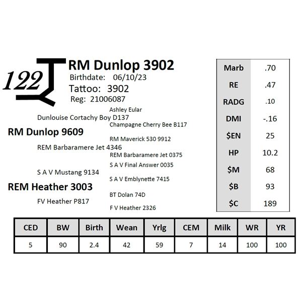 RM Dunlop 3902