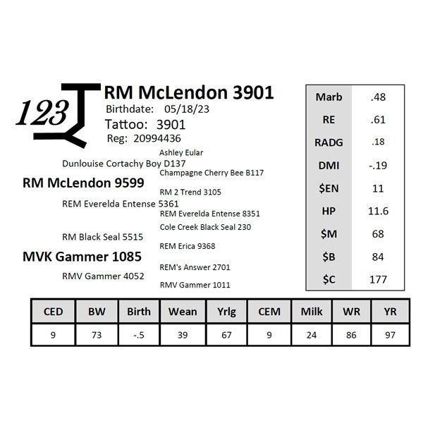 RM McLendon 3901