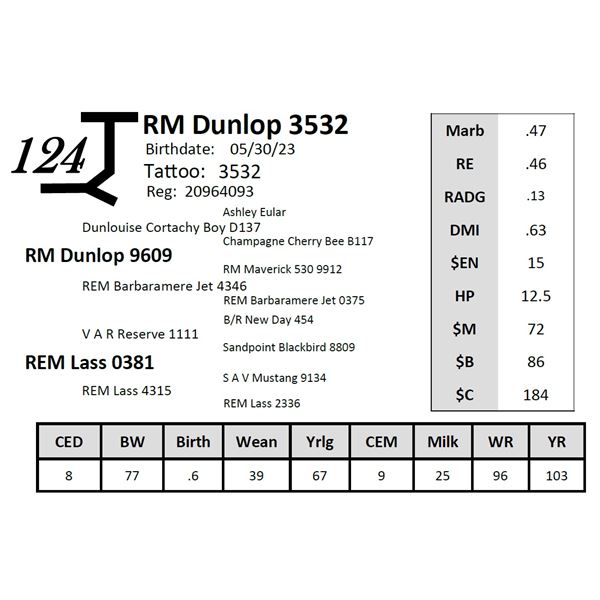 RM Dunlop 3532