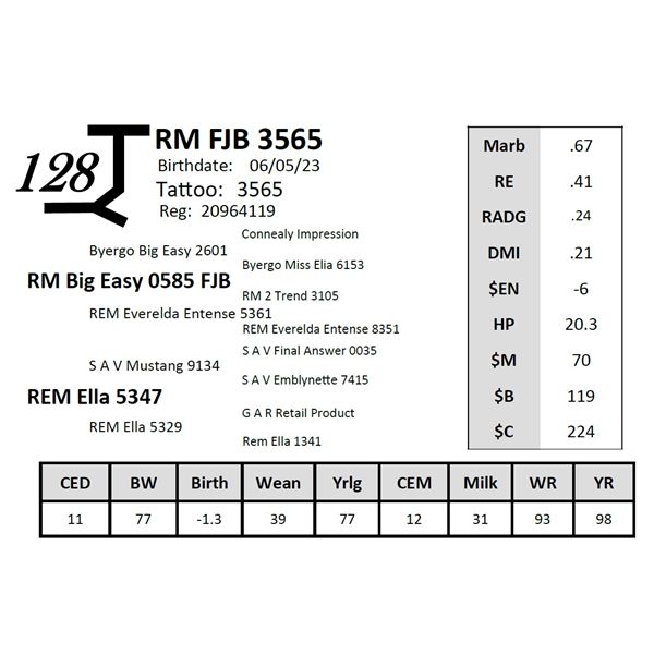 RM FJB 3565