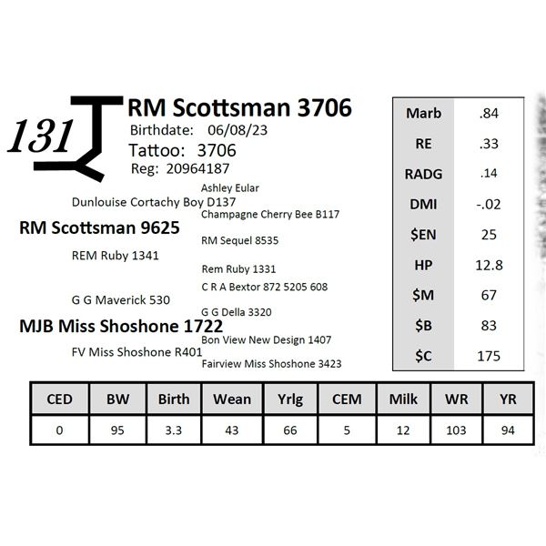 RM Scottsman 3706