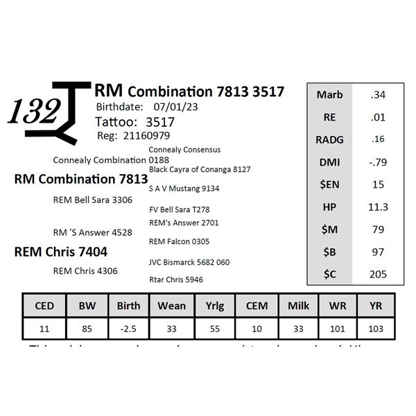 RM Combination 7813 3517