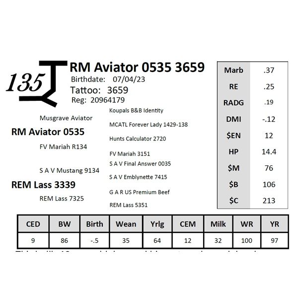 RM Aviator 0535 3659