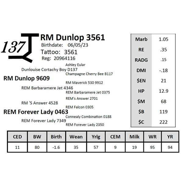 RM Dunlop 3561