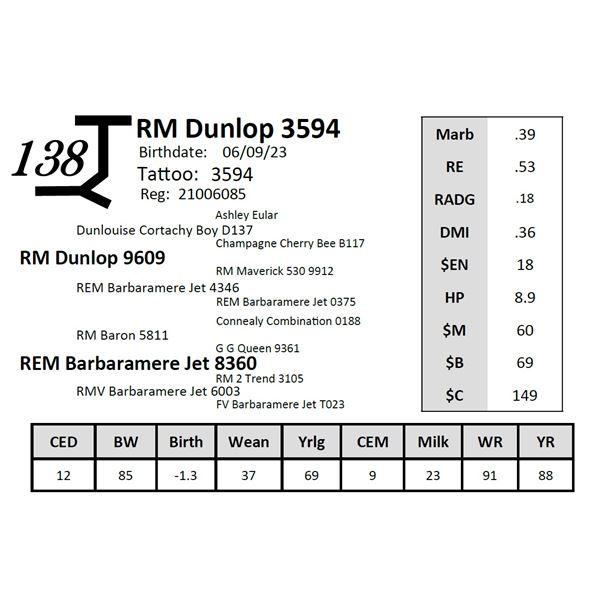 RM Dunlop 3594