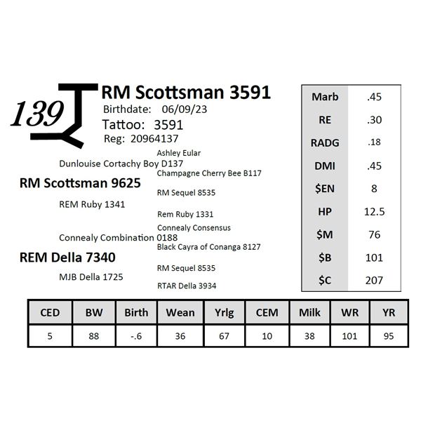 RM Scottsman 3591