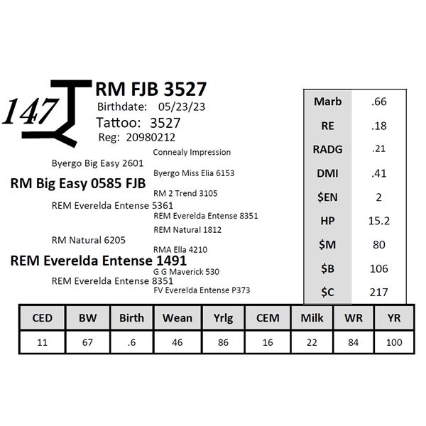 RM FJB 3527