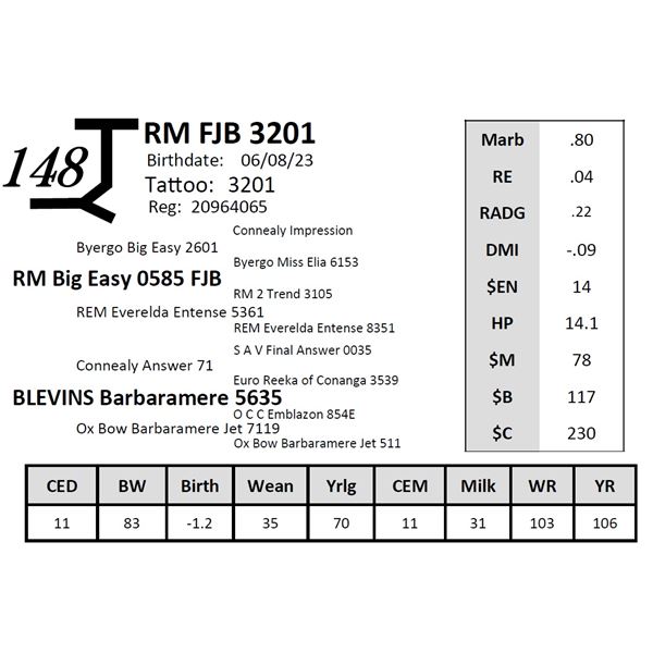 RM FJB 3201