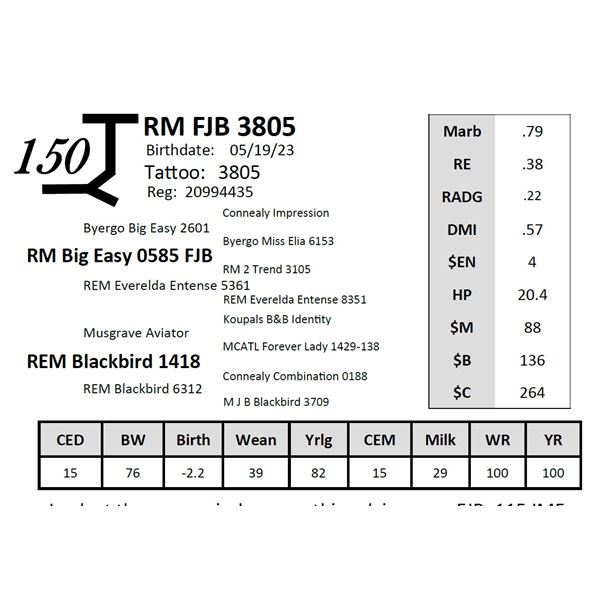RM FJB 3805