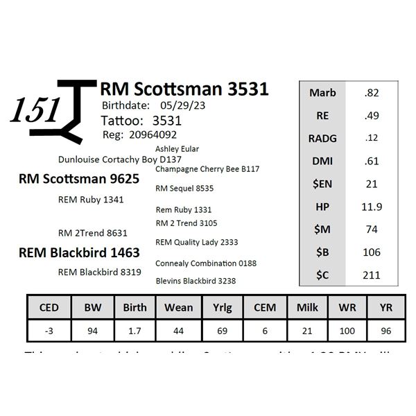RM Scottsman 3531