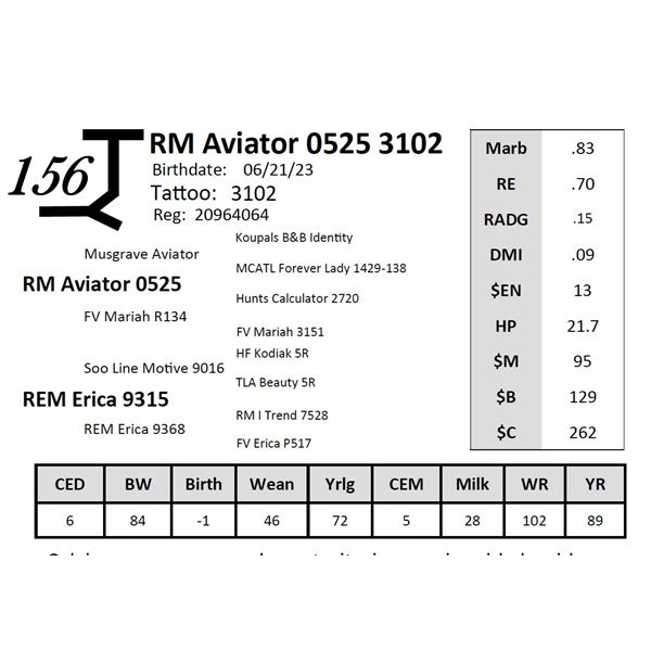 RM Aviator 0525 3102