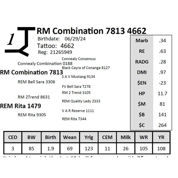 RM Combination 7813 4662