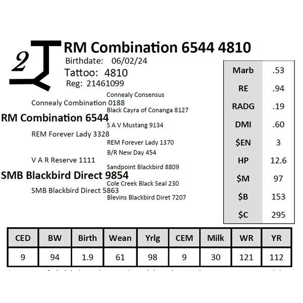 RM Combination 6544 4810