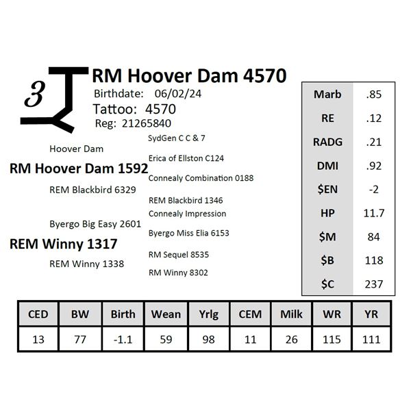 RM Hoover Dam 4570