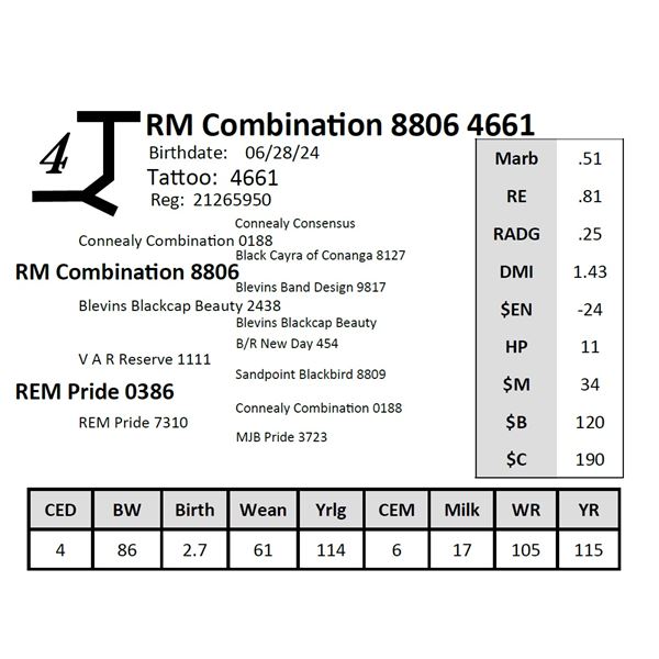 RM Combination 8806 4661