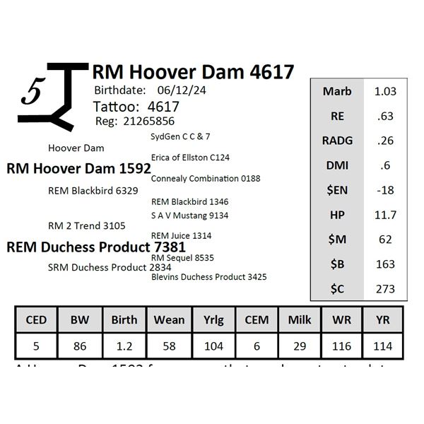 RM Hoover Dam 4617