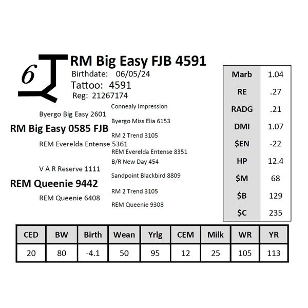 RM Big Easy FJB 4591