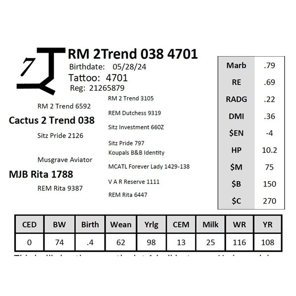RM 2Trend 038 4701