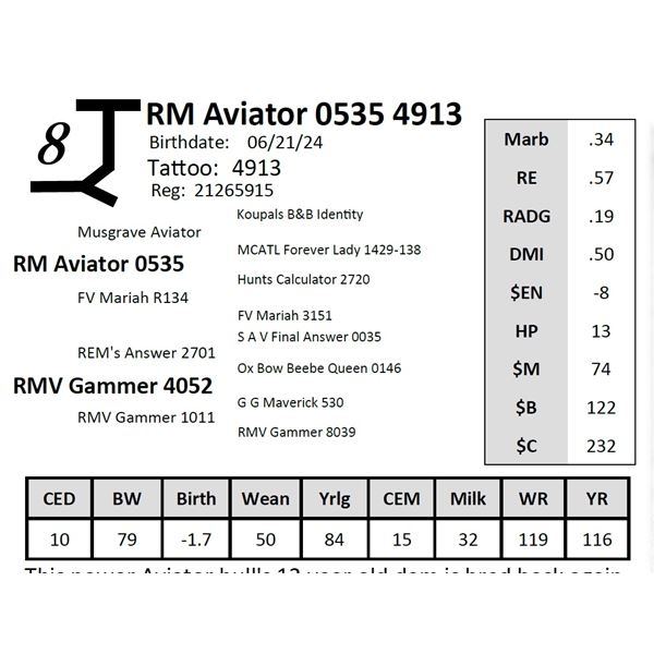 RM Aviator 0535 4913