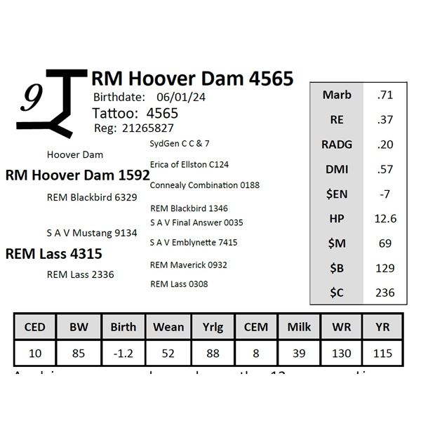 RM Hoover Dam 4565
