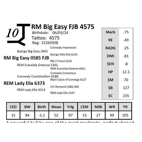 RM Big Easy FJB 4575