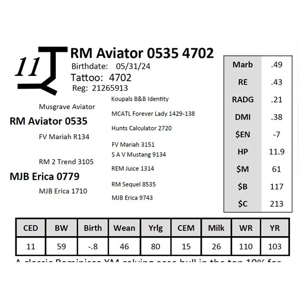 RM Aviator 0535 4702