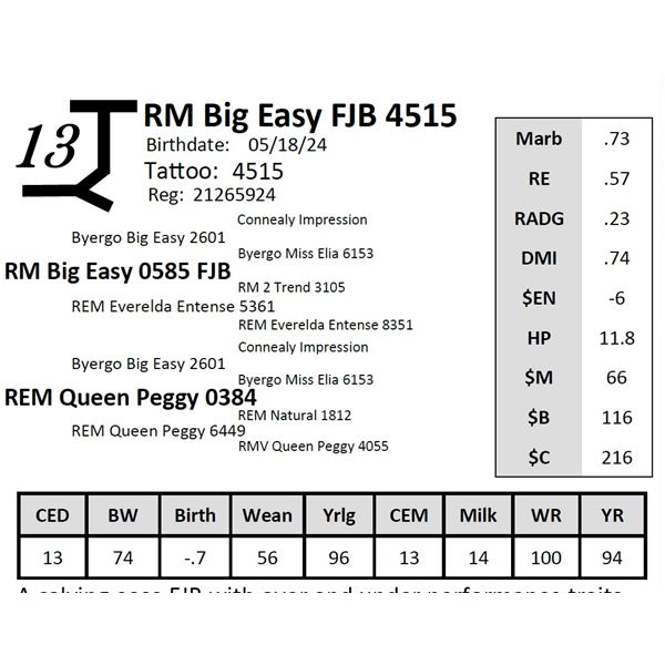 RM Big Easy FJB 4515