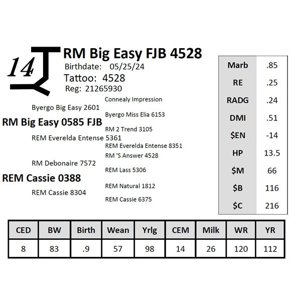 RM Big Easy FJB 4528