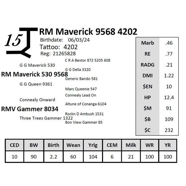 RM Maverick 9568 4202