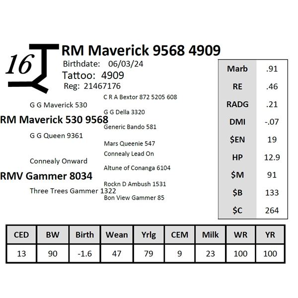 RM Maverick 9568 4909