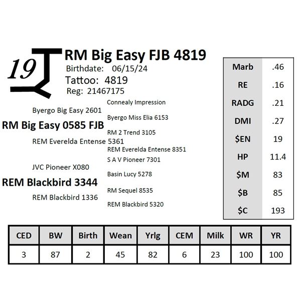 RM Big Easy FJB 4819