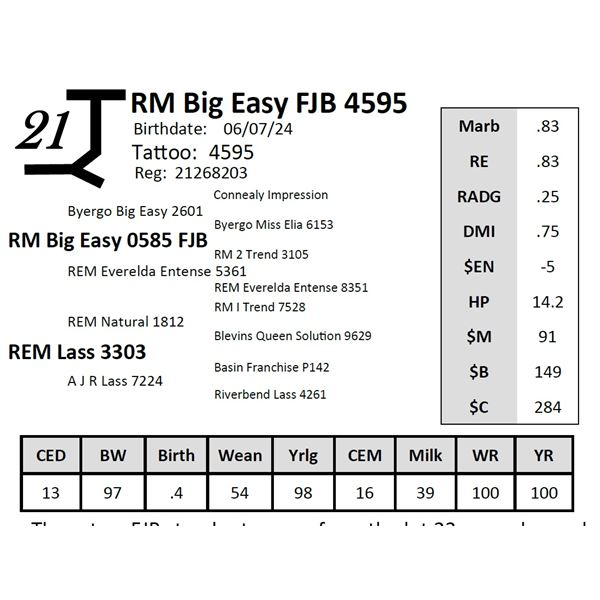 RM Big Easy FJB 4595